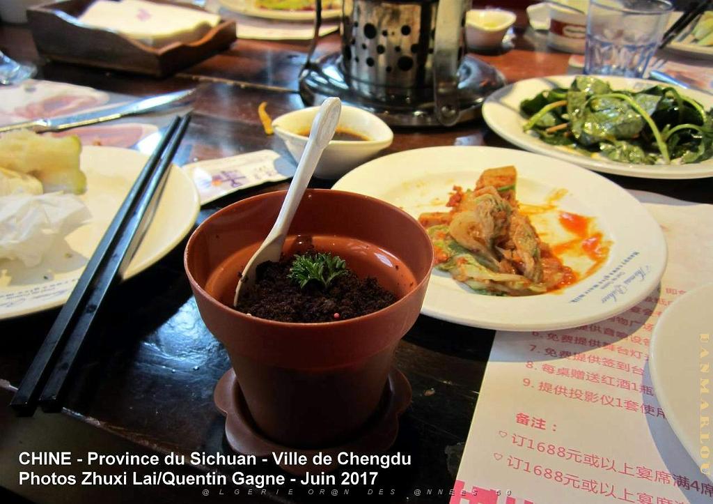 Chengdu juin 2017- 011.JPG
